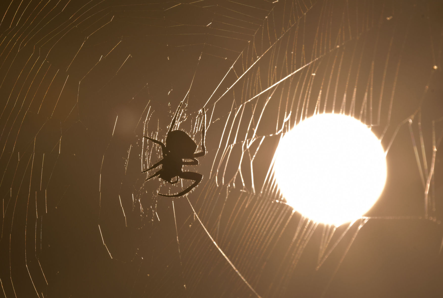 Photos: The beauty of living on the Central Coast
